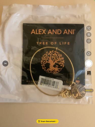 Alex and ani - alex, of