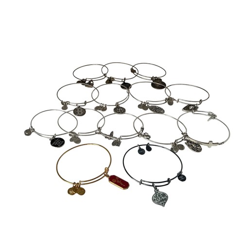 Alex and ani adjustable - and,