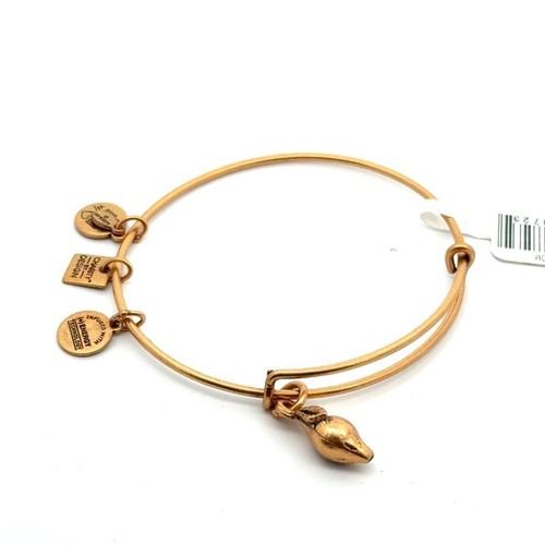 New alex and ani zest - alex, for