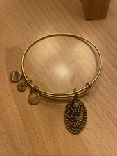 Alex and Ani Charm Bracelet