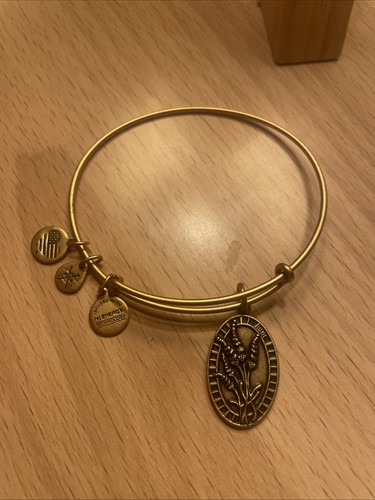 Alex and ani charm bracelet - ani,