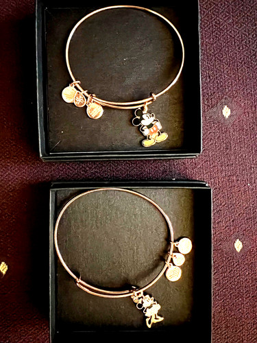 Disney authentic alex ani - alex,