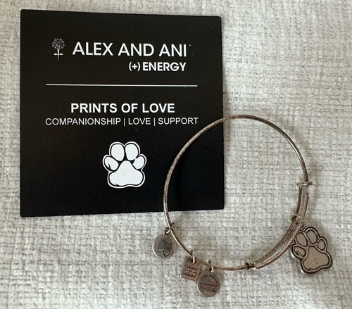 Alex and ani - ani, silver